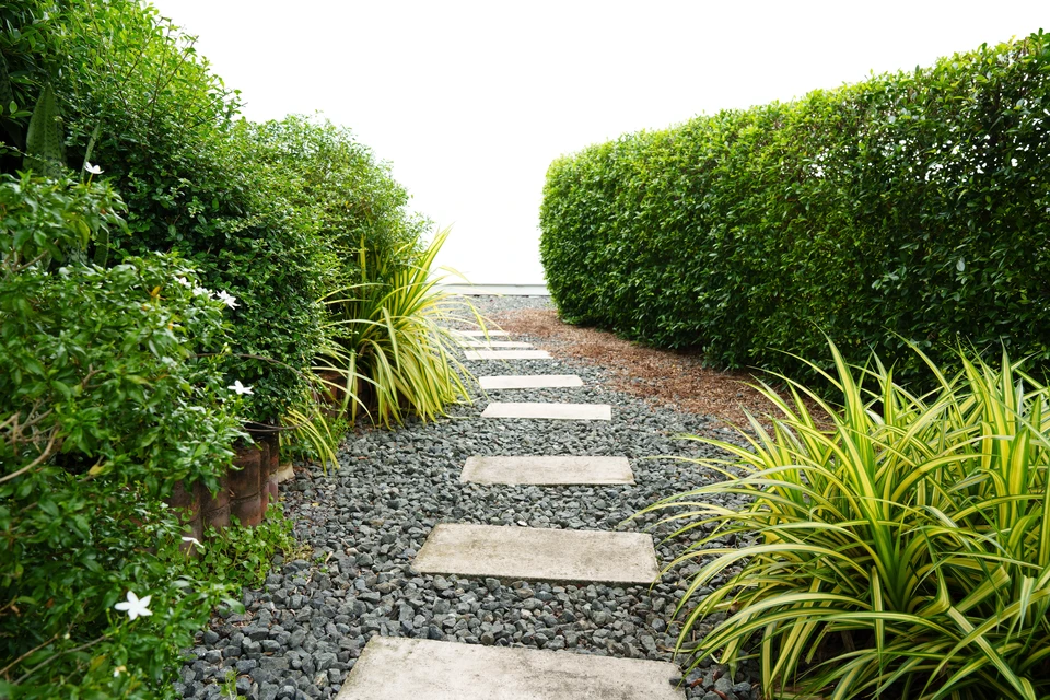 Parking extérieur avec rangées de véhicules stationnés sous lumière intense du soleil